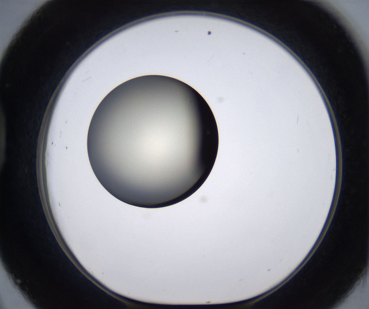folderID202_plateID2202_batchID9973_wellNum45_profileID1_d1_r149411_ef.jpg