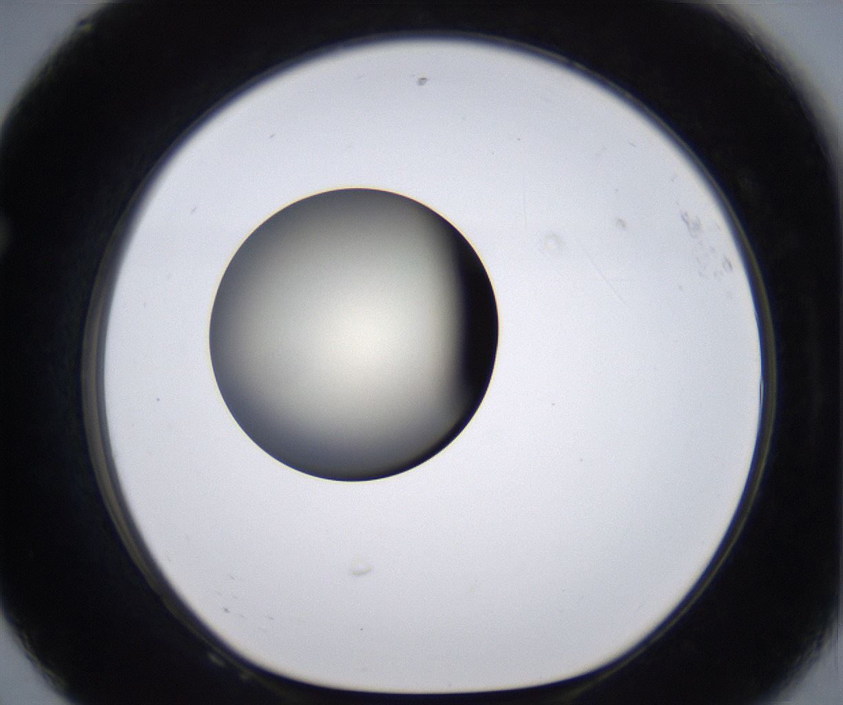 folderID202_plateID2202_batchID9973_wellNum68_profileID1_d1_r149434_ef.jpg