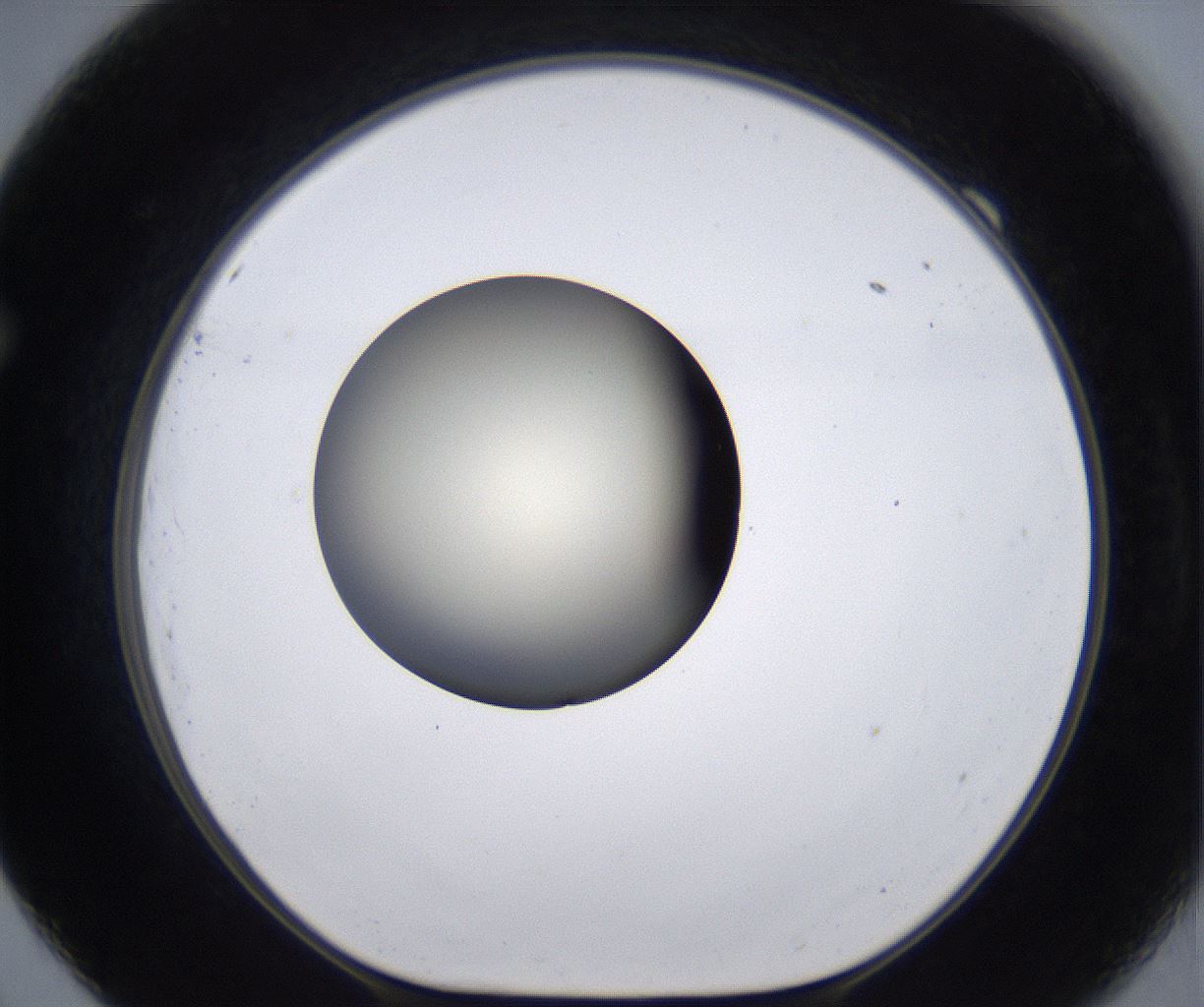 folderID202_plateID2202_batchID9973_wellNum69_profileID1_d1_r149435_ef.jpg