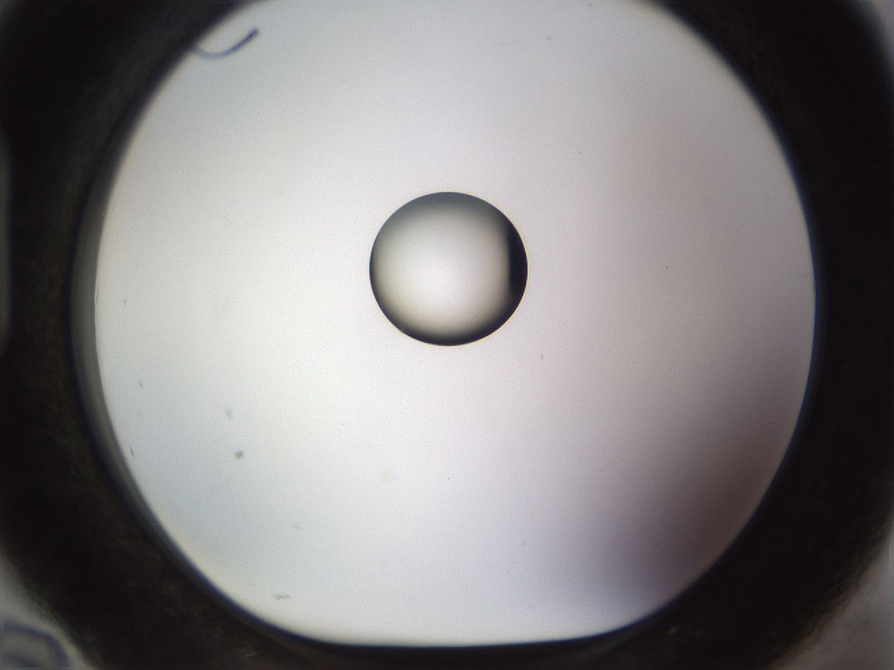 folderID450_plateID1450_batchID5527_wellNum94_profileID1_d1_r91993_ef.jpg