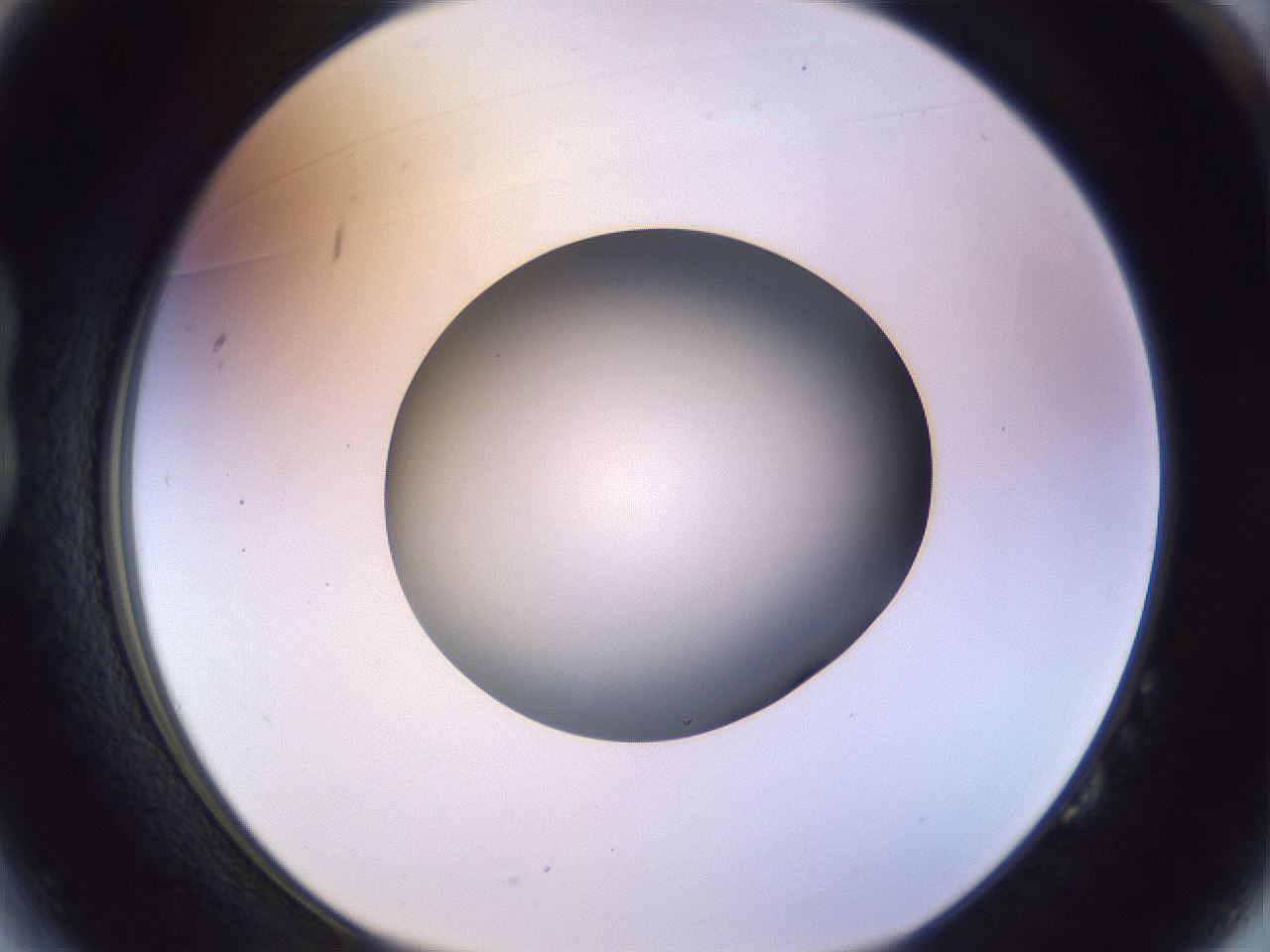 folderID451_plateID1451_batchID5526_wellNum14_profileID1_d1_r91817_ef.jpg