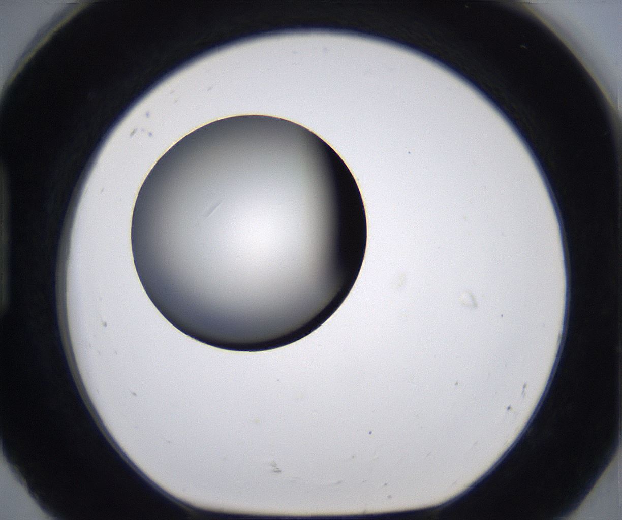 folderID202_plateID2202_batchID9973_wellNum92_profileID1_d1_r149458_ef.jpg