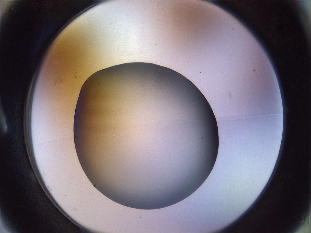 folderID451_plateID1451_batchID5526_wellNum1_profileID1_d1_r91804_ef.jpg