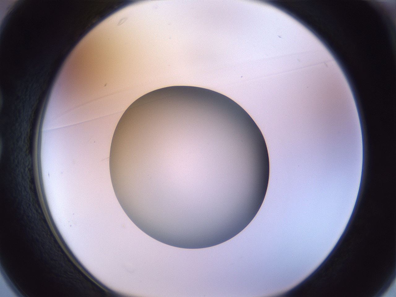 folderID451_plateID1451_batchID5526_wellNum25_profileID1_d1_r91828_ef.jpg