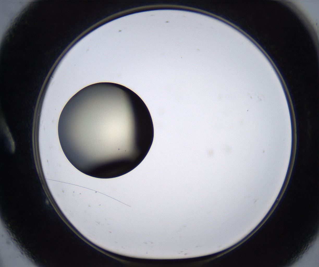 folderID202_plateID2202_batchID9973_wellNum9_profileID1_d1_r149375_ef.jpg
