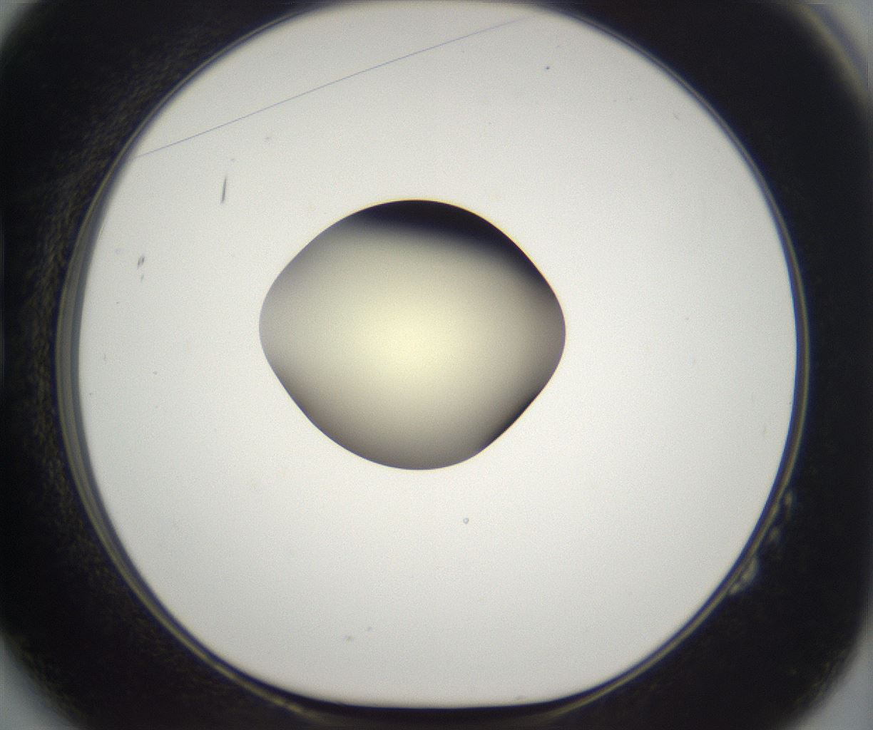 folderID203_plateID2203_batchID9977_wellNum14_profileID1_d1_r149668_ef.jpg