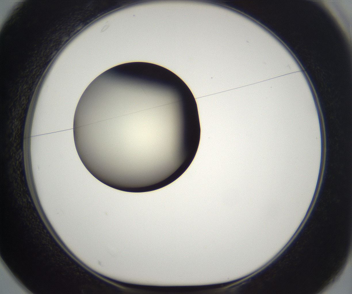folderID203_plateID2203_batchID9977_wellNum25_profileID1_d1_r149679_ef.jpg