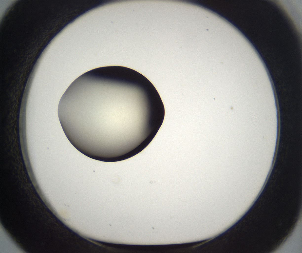 folderID203_plateID2203_batchID9977_wellNum26_profileID1_d1_r149680_ef.jpg