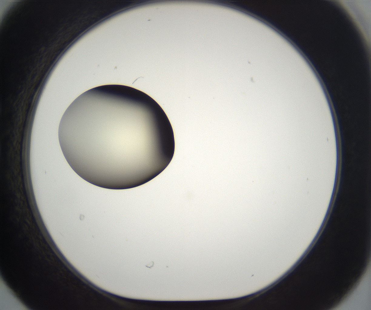 folderID203_plateID2203_batchID9977_wellNum30_profileID1_d1_r149684_ef.jpg