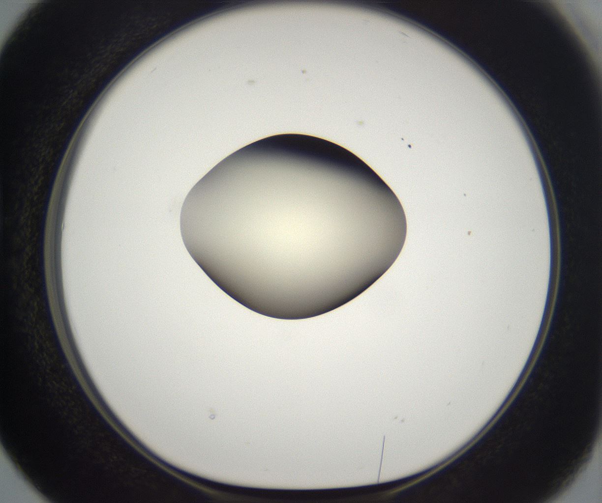 folderID203_plateID2203_batchID9977_wellNum38_profileID1_d1_r149692_ef.jpg