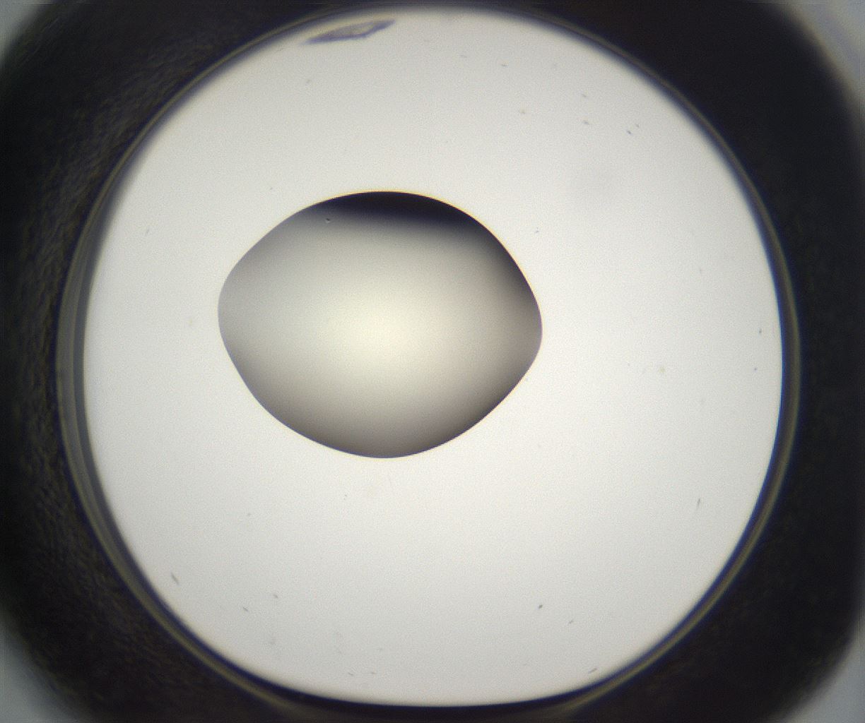 folderID203_plateID2203_batchID9977_wellNum41_profileID1_d1_r149695_ef.jpg
