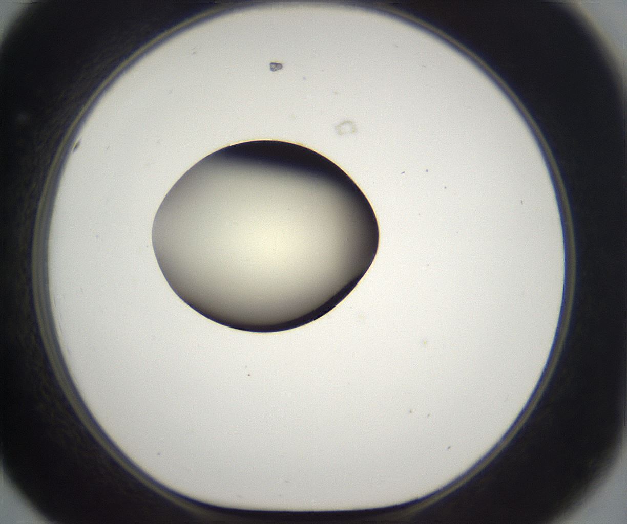 folderID203_plateID2203_batchID9977_wellNum44_profileID1_d1_r149698_ef.jpg