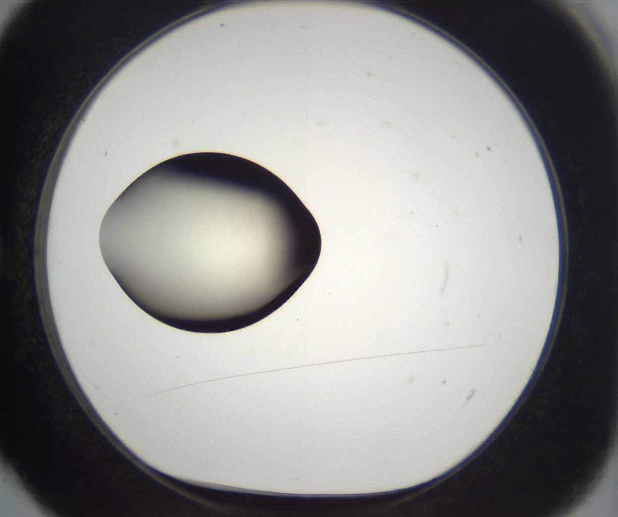 folderID203_plateID2203_batchID9977_wellNum4_profileID1_d1_r149658_ef.jpg