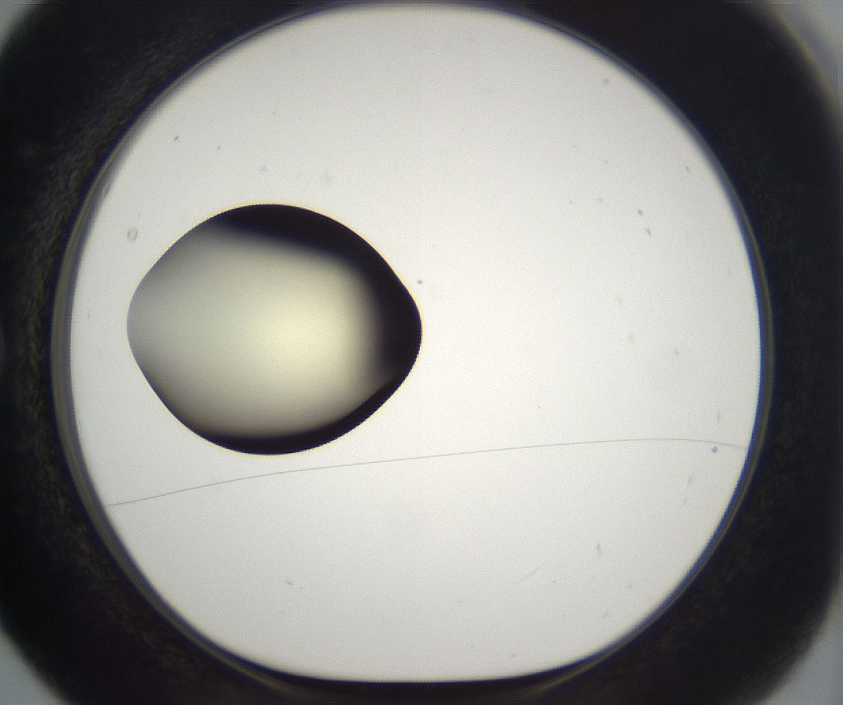 folderID203_plateID2203_batchID9977_wellNum5_profileID1_d1_r149659_ef.jpg
