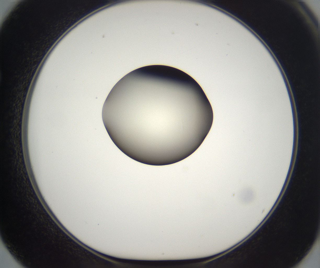 folderID203_plateID2203_batchID9977_wellNum62_profileID1_d1_r149716_ef.jpg