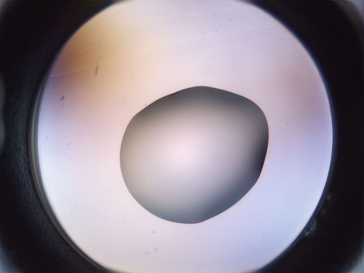 folderID452_plateID1452_batchID5530_wellNum14_profileID1_d1_r92201_ef.jpg