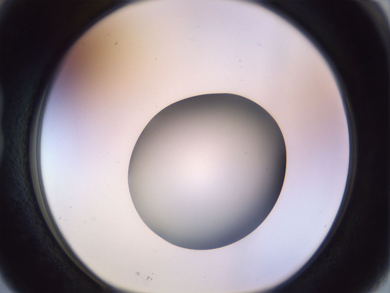 folderID452_plateID1452_batchID5530_wellNum15_profileID1_d1_r92202_ef.jpg