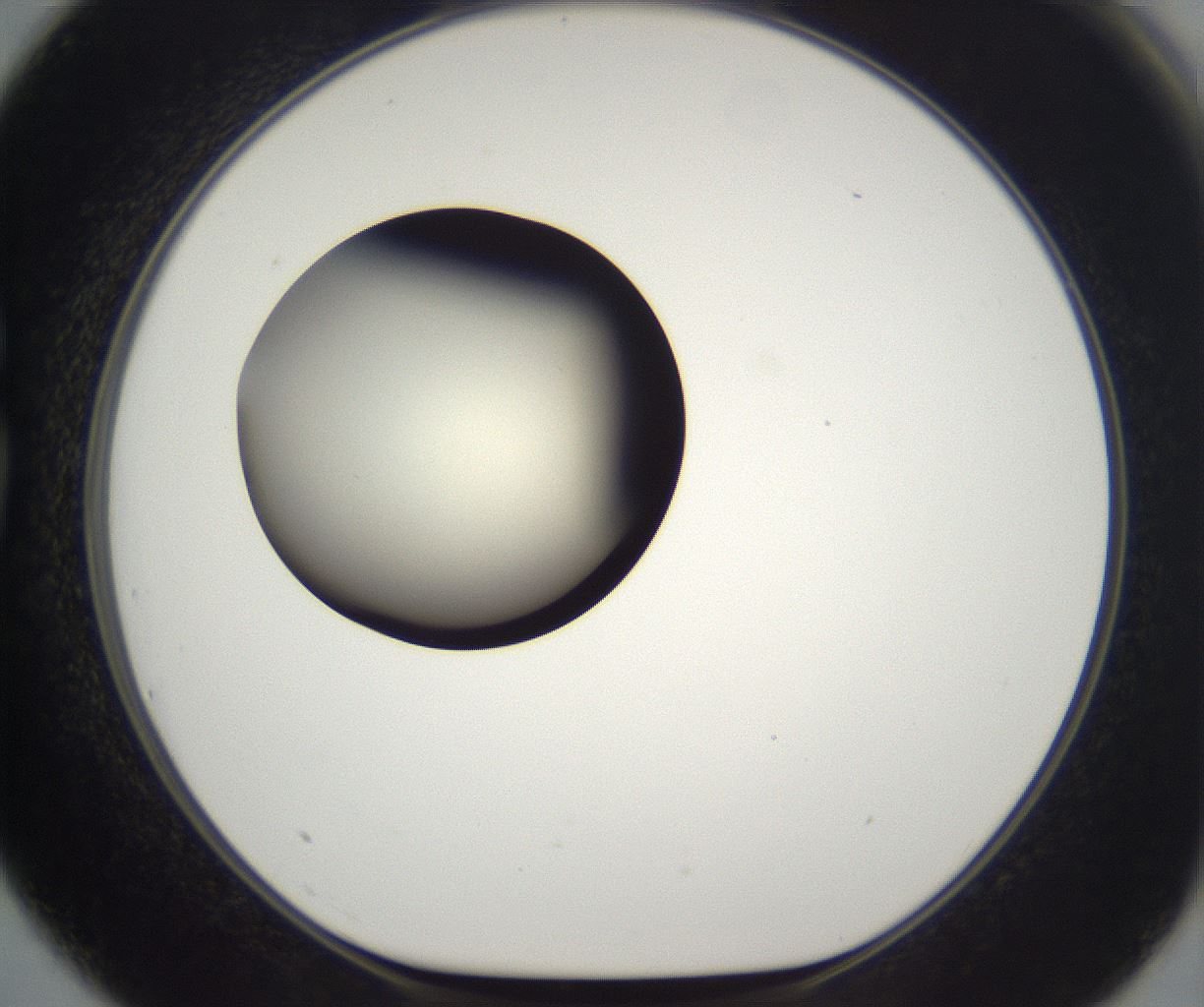 folderID203_plateID2203_batchID9977_wellNum75_profileID1_d1_r149729_ef.jpg