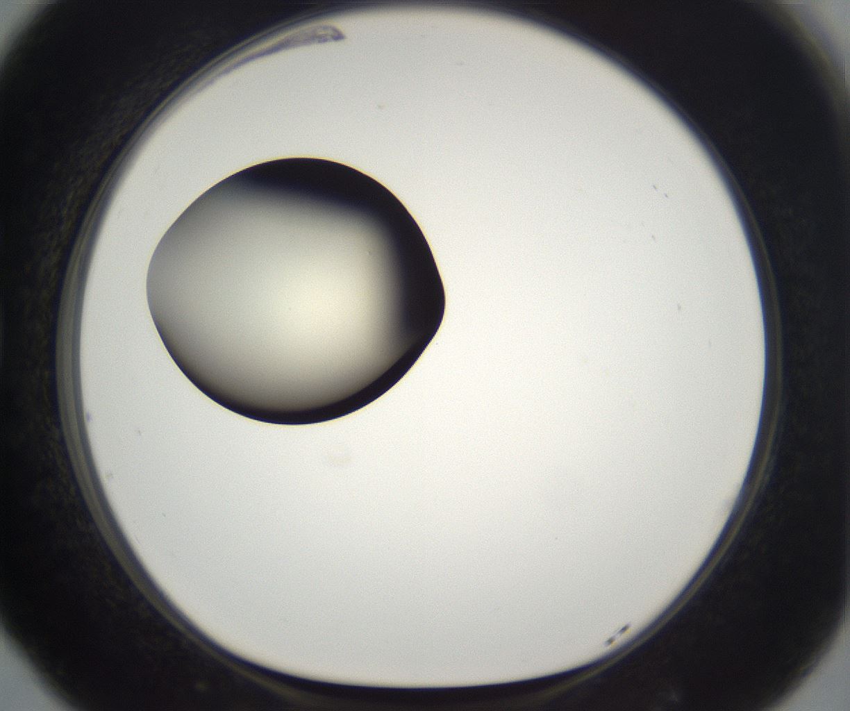 folderID203_plateID2203_batchID9977_wellNum77_profileID1_d1_r149731_ef.jpg