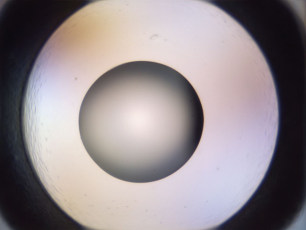 folderID452_plateID1452_batchID5530_wellNum19_profileID1_d1_r92206_ef.jpg