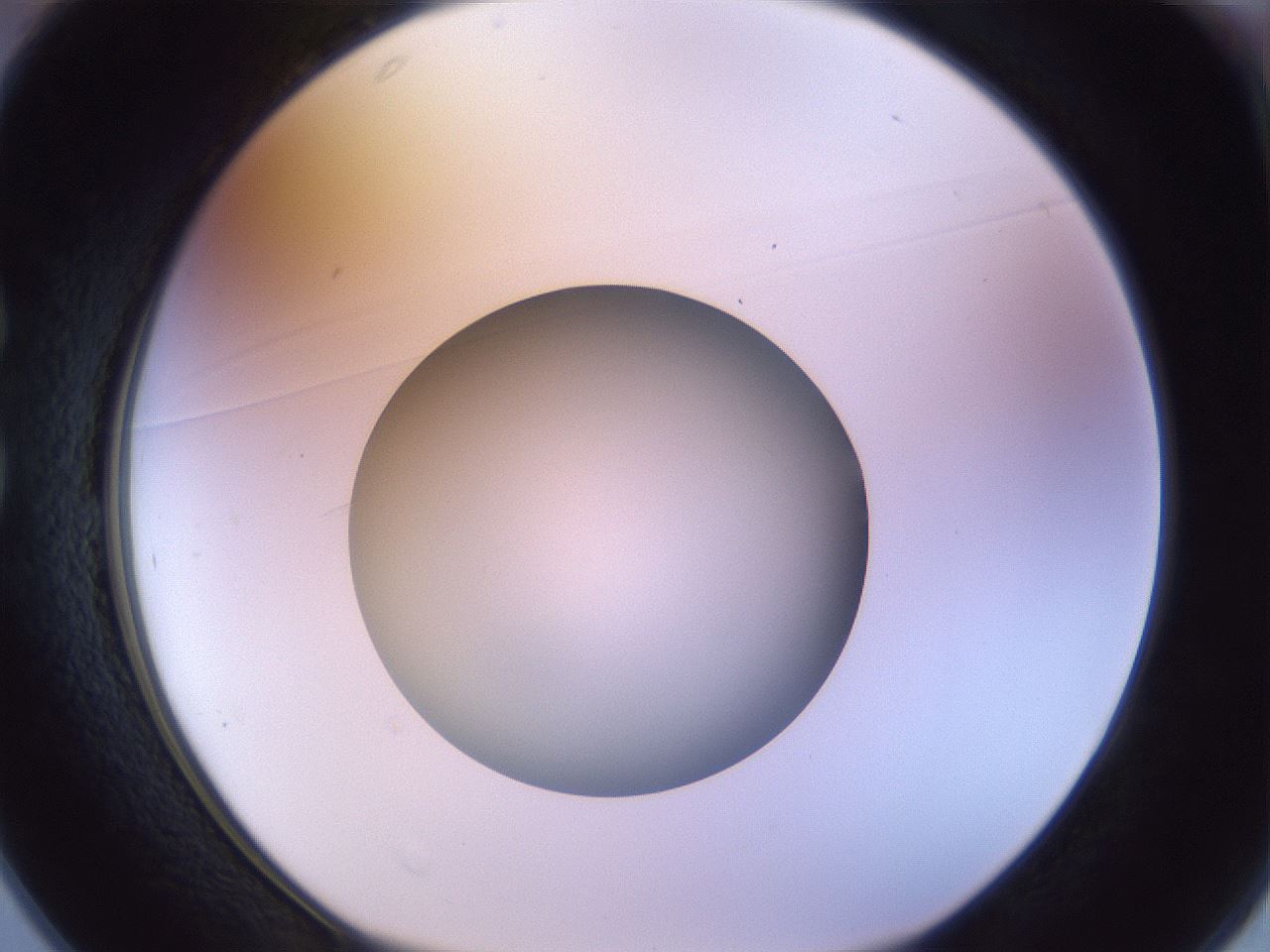 folderID452_plateID1452_batchID5530_wellNum25_profileID1_d1_r92212_ef.jpg