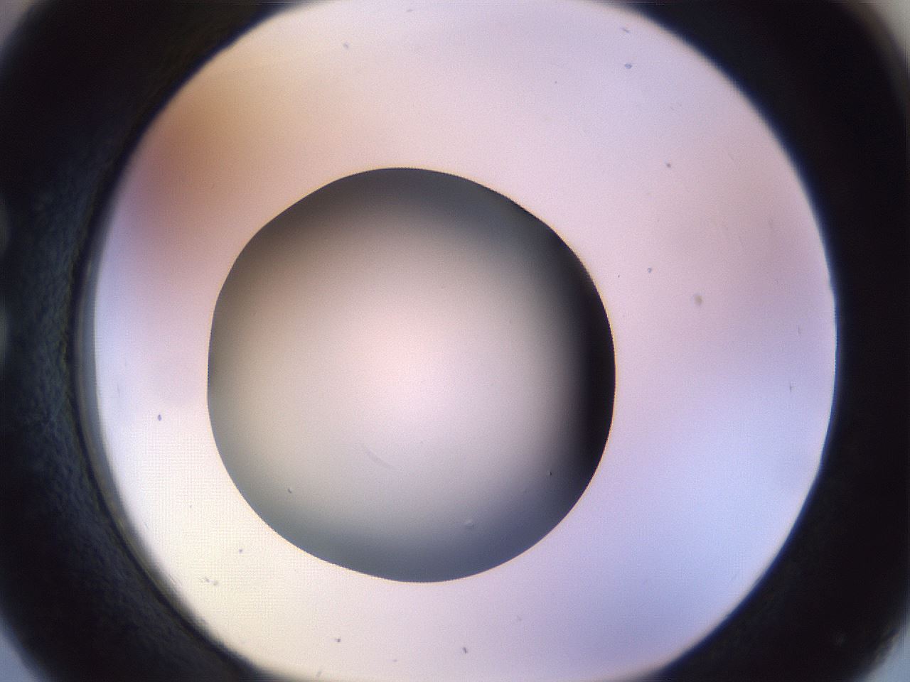 folderID452_plateID1452_batchID5530_wellNum26_profileID1_d1_r92213_ef.jpg