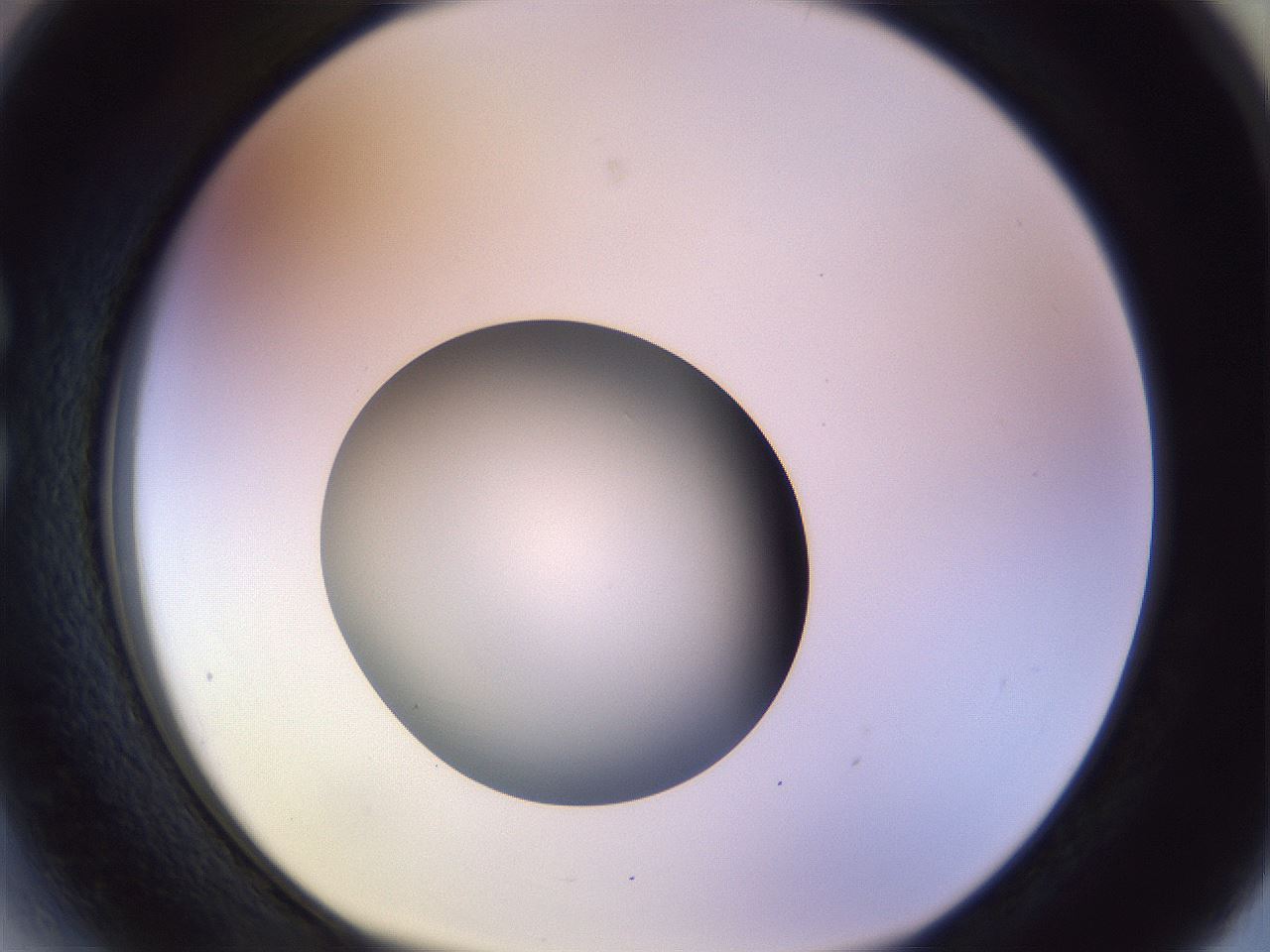 folderID452_plateID1452_batchID5530_wellNum27_profileID1_d1_r92214_ef.jpg