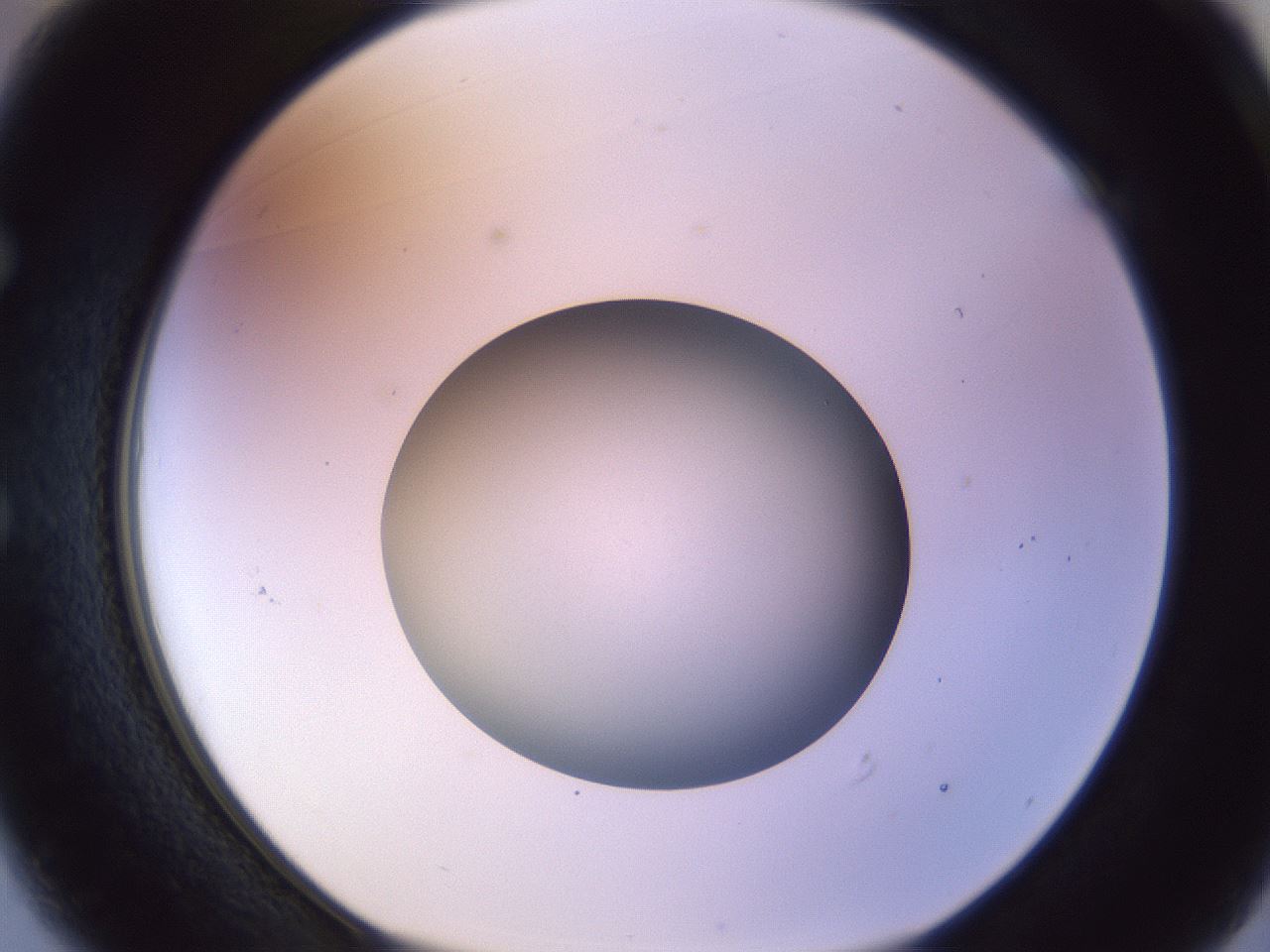 folderID452_plateID1452_batchID5530_wellNum49_profileID1_d1_r92236_ef.jpg