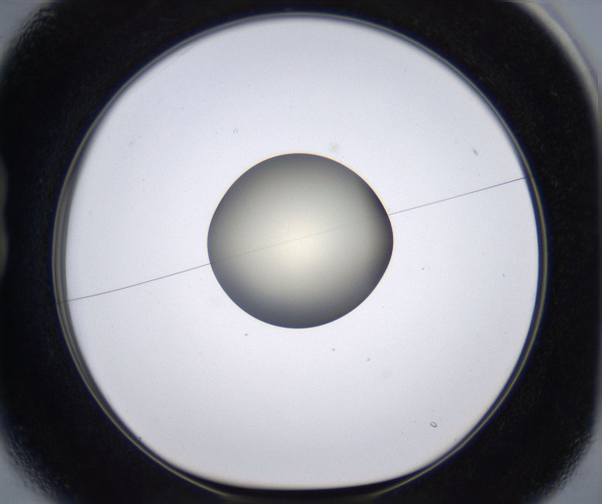 folderID204_plateID2204_batchID9975_wellNum13_profileID1_d1_r149571_ef.jpg