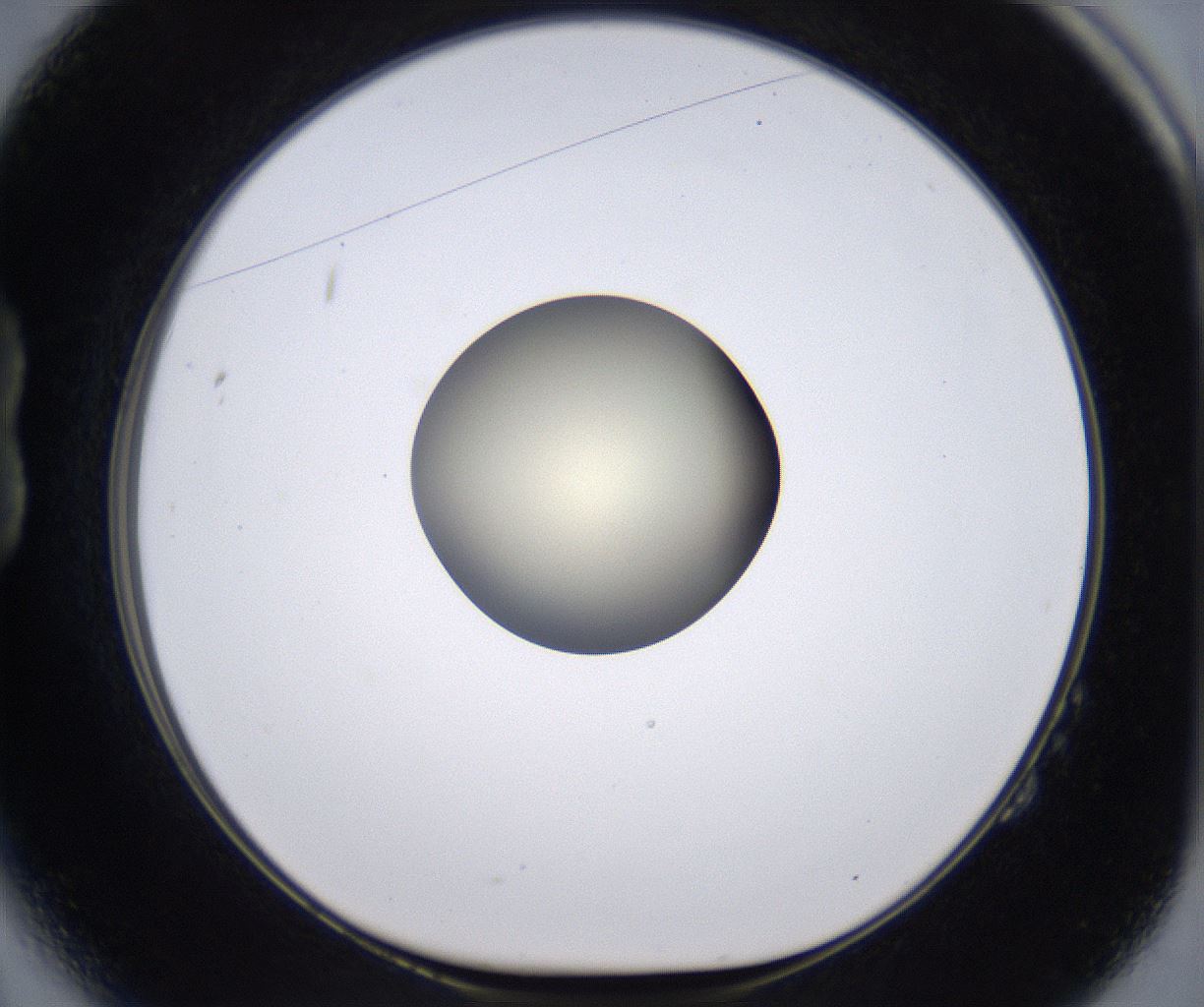 folderID204_plateID2204_batchID9975_wellNum14_profileID1_d1_r149572_ef.jpg