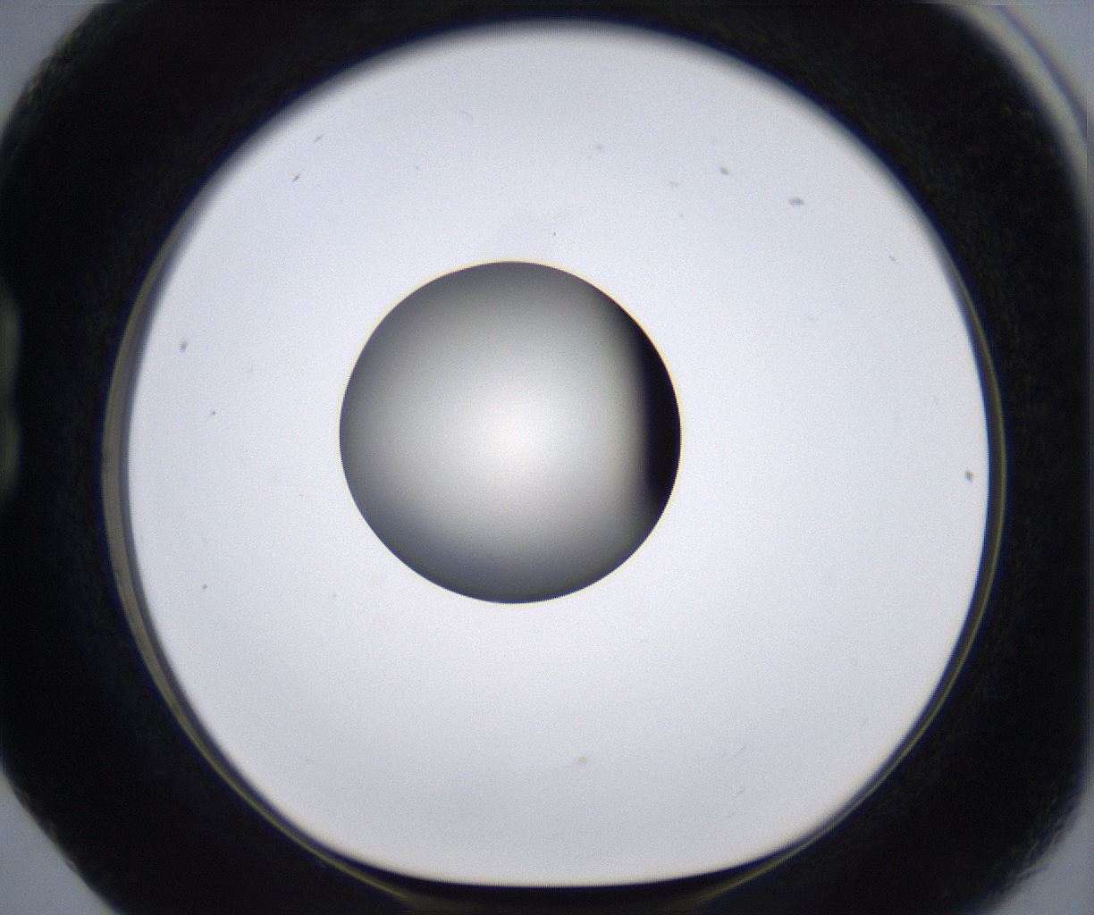 folderID204_plateID2204_batchID9975_wellNum17_profileID1_d1_r149575_ef.jpg