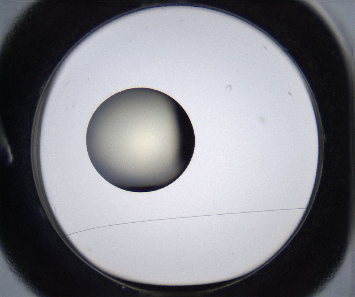 folderID204_plateID2204_batchID9975_wellNum1_profileID1_d1_r149559_ef.jpg