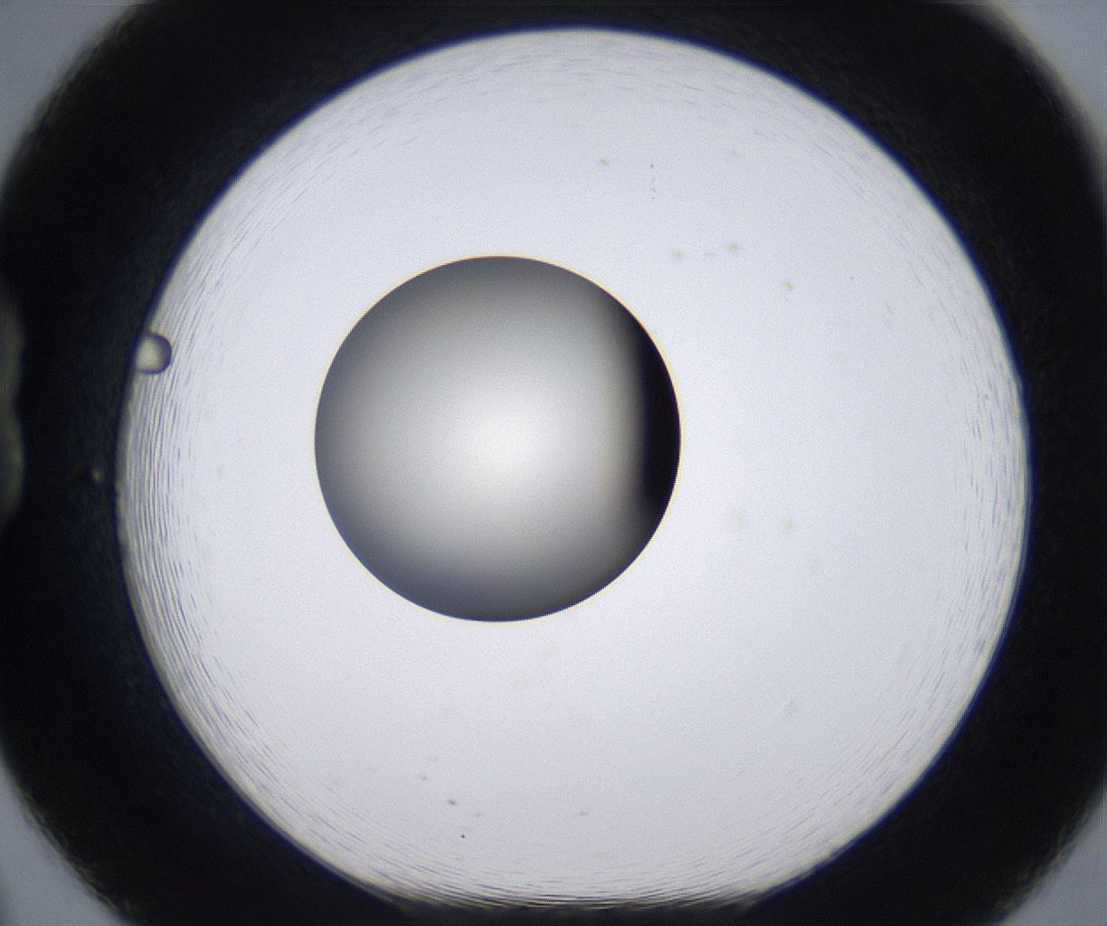 folderID204_plateID2204_batchID9975_wellNum20_profileID1_d1_r149578_ef.jpg