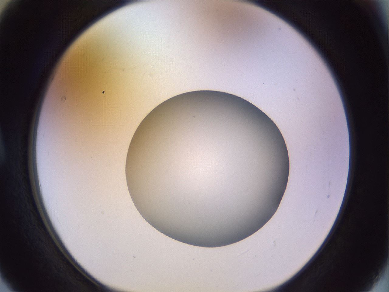 folderID452_plateID1452_batchID5530_wellNum5_profileID1_d1_r92192_ef.jpg