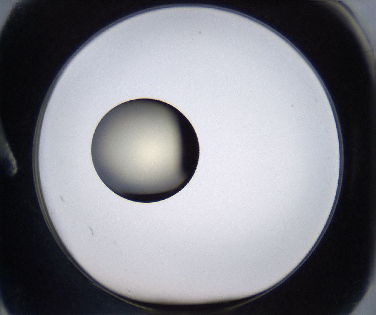 folderID204_plateID2204_batchID9975_wellNum2_profileID1_d1_r149560_ef.jpg