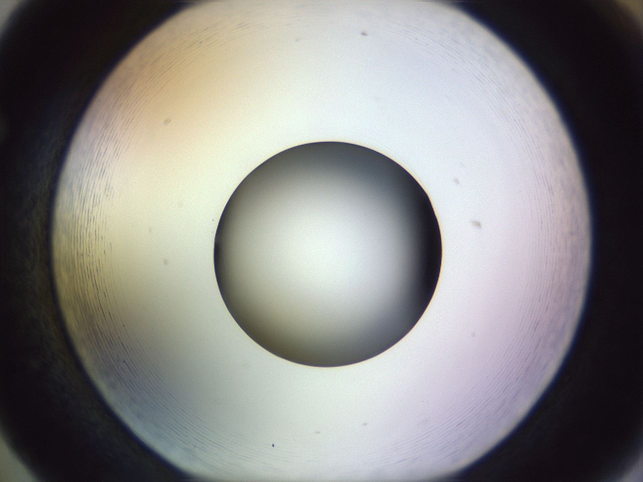 folderID452_plateID1452_batchID5530_wellNum65_profileID1_d1_r92252_ef.jpg
