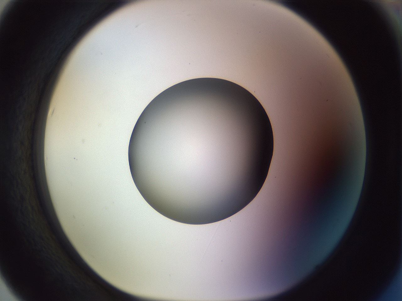 folderID452_plateID1452_batchID5530_wellNum67_profileID1_d1_r92254_ef.jpg
