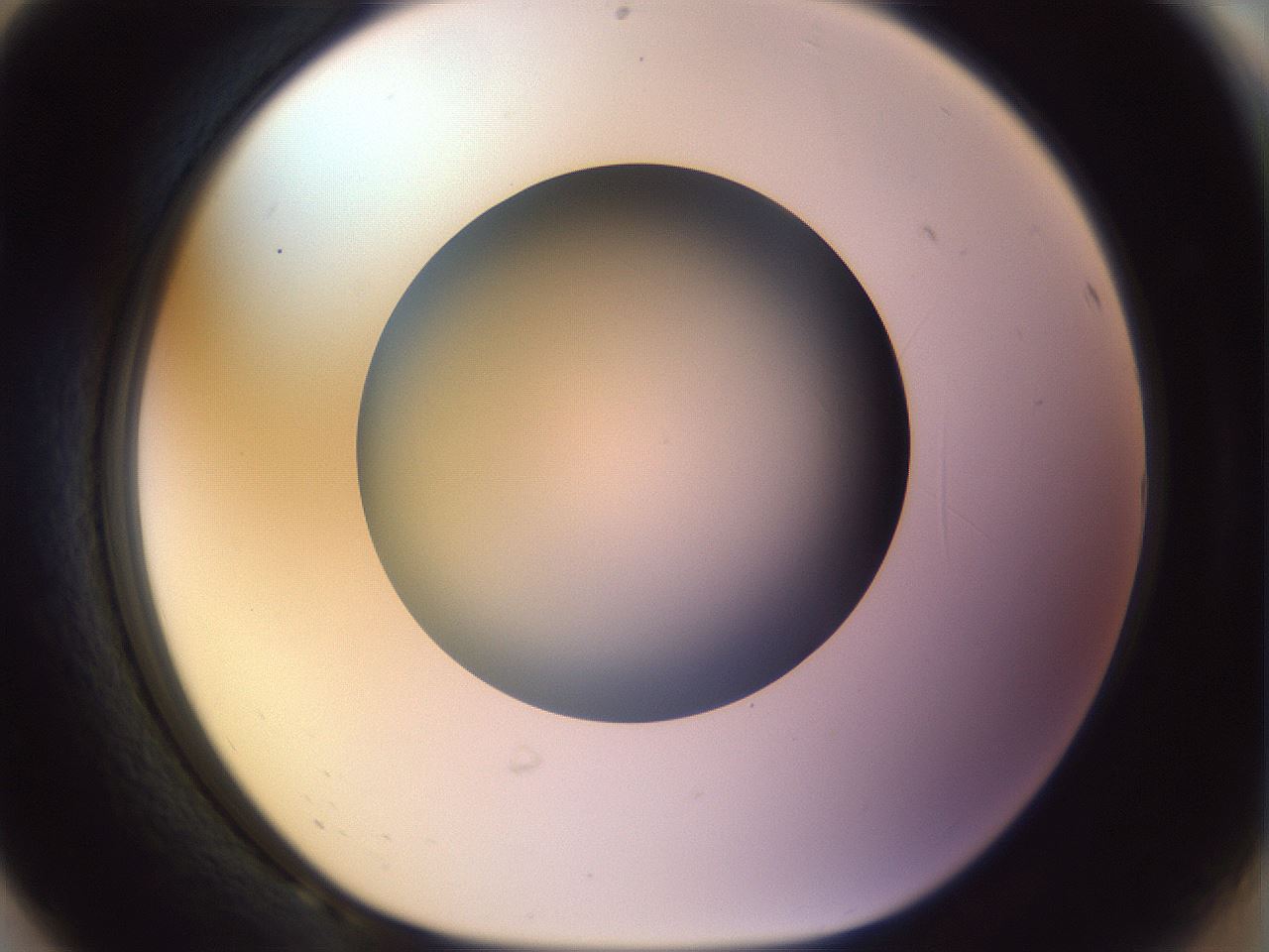folderID452_plateID1452_batchID5530_wellNum68_profileID1_d1_r92255_ef.jpg