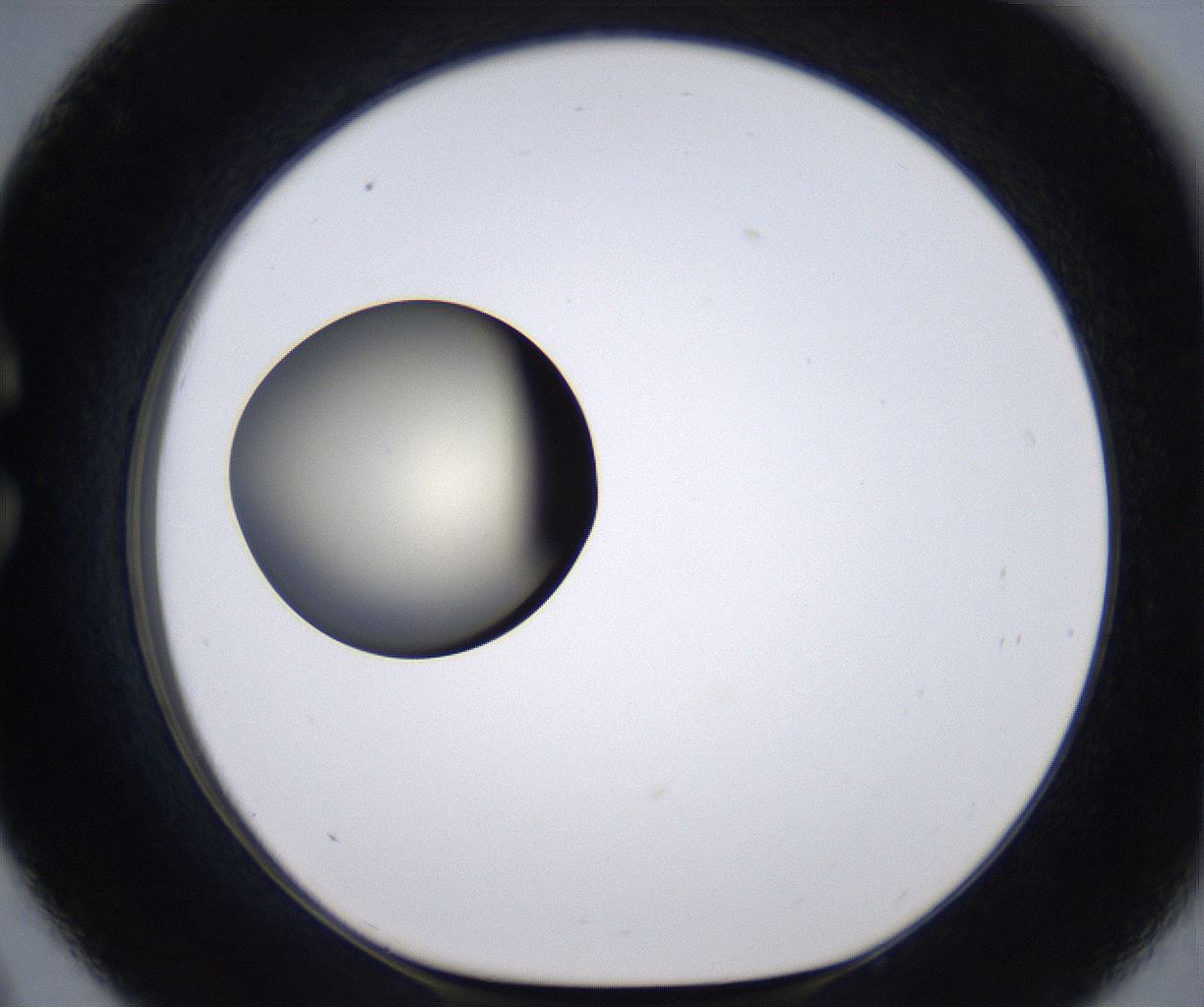 folderID204_plateID2204_batchID9975_wellNum33_profileID1_d1_r149591_ef.jpg