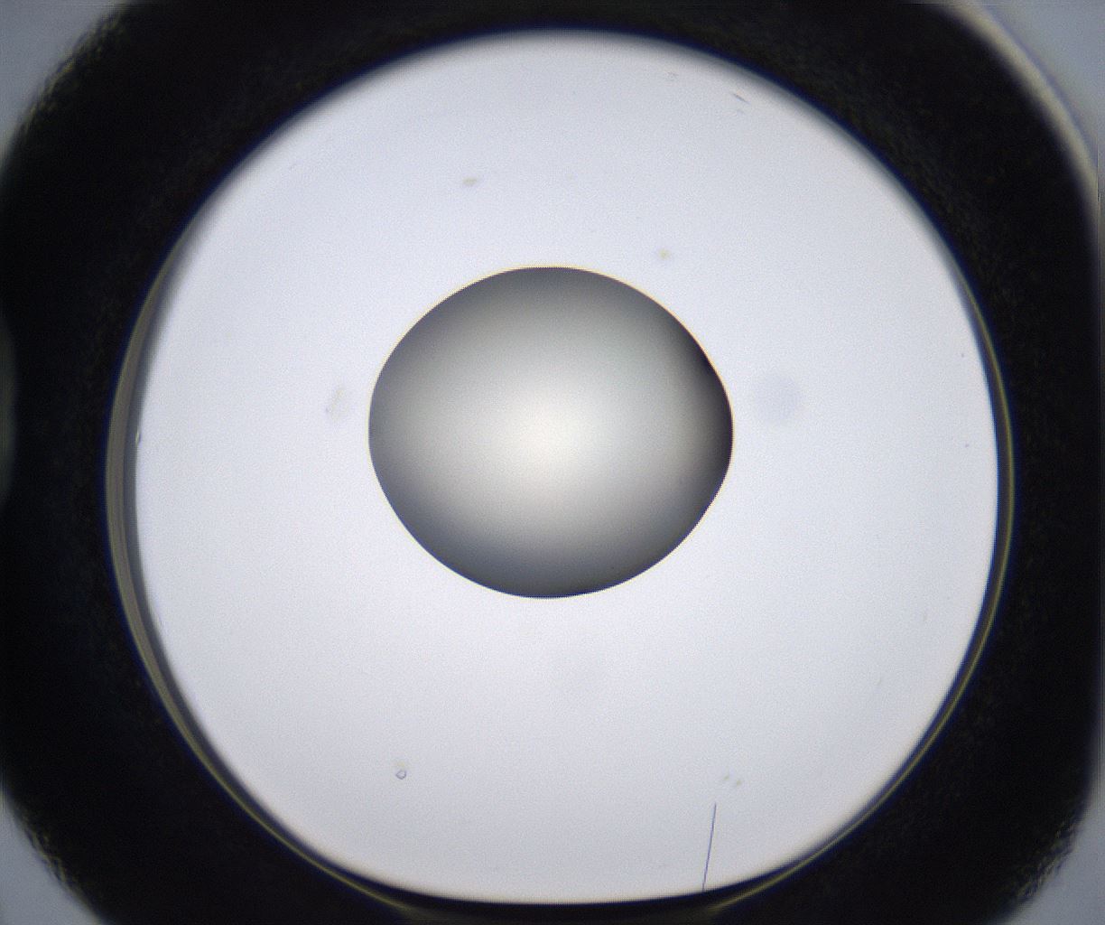 folderID204_plateID2204_batchID9975_wellNum38_profileID1_d1_r149596_ef.jpg