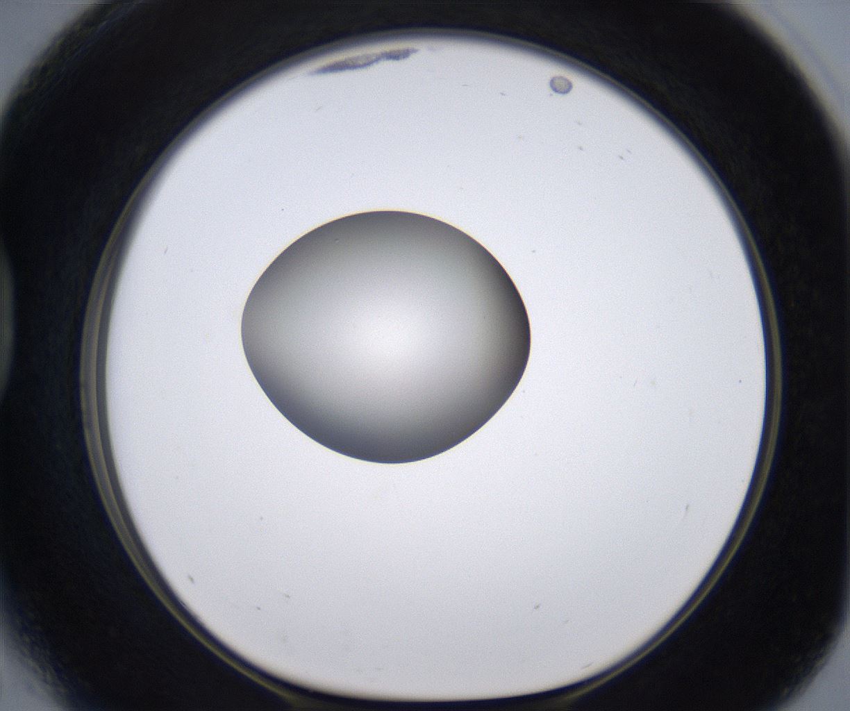 folderID204_plateID2204_batchID9975_wellNum41_profileID1_d1_r149599_ef.jpg
