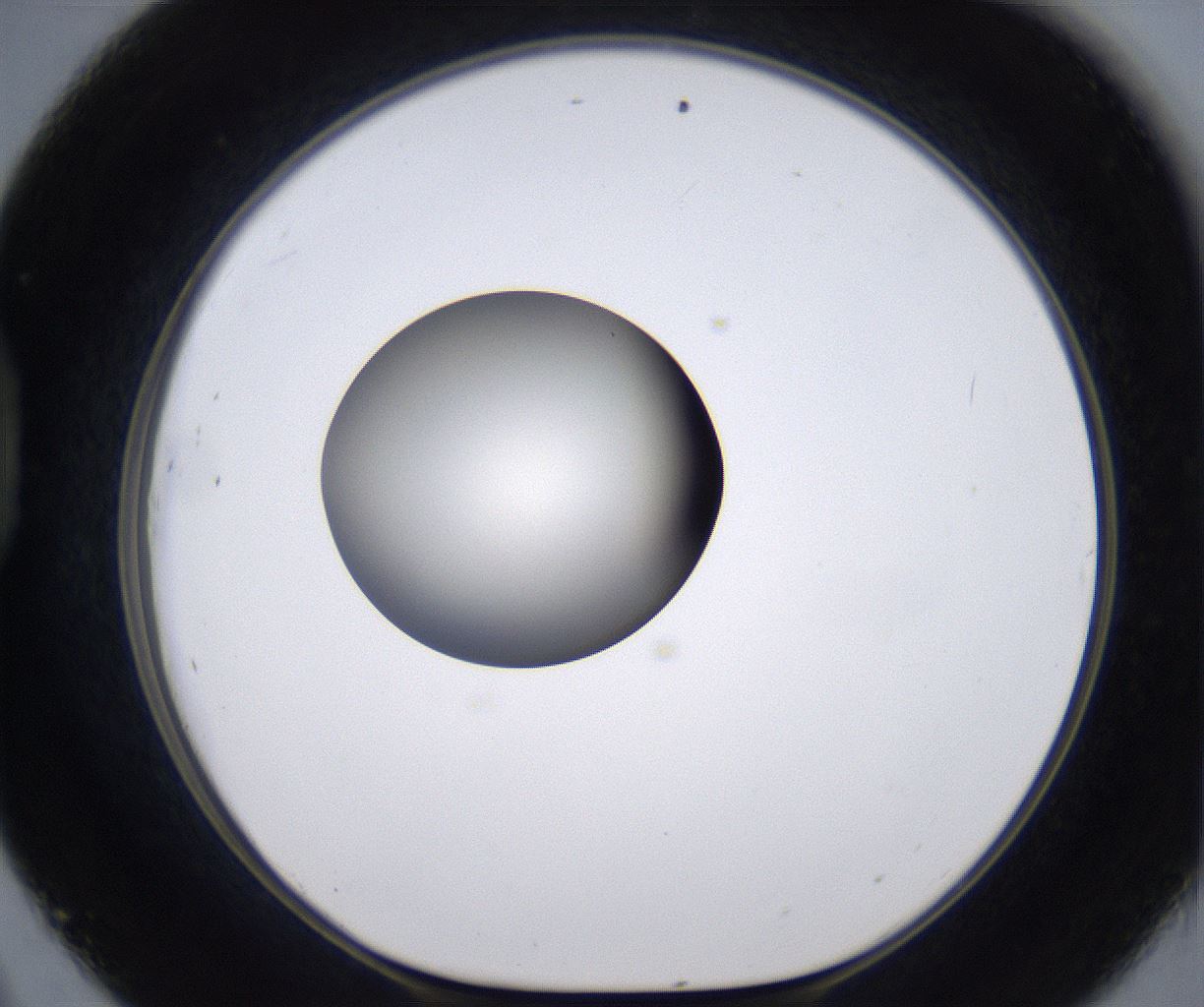 folderID204_plateID2204_batchID9975_wellNum45_profileID1_d1_r149603_ef.jpg