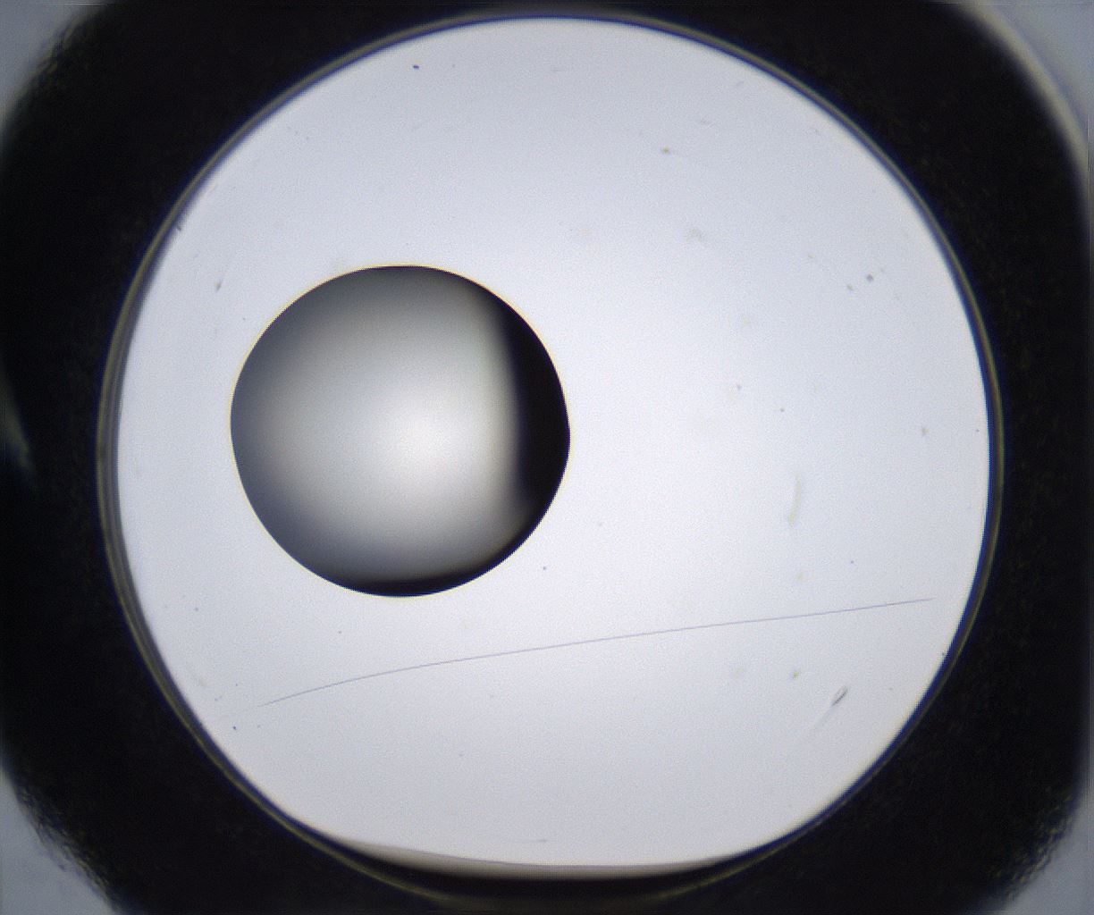 folderID204_plateID2204_batchID9975_wellNum4_profileID1_d1_r149562_ef.jpg