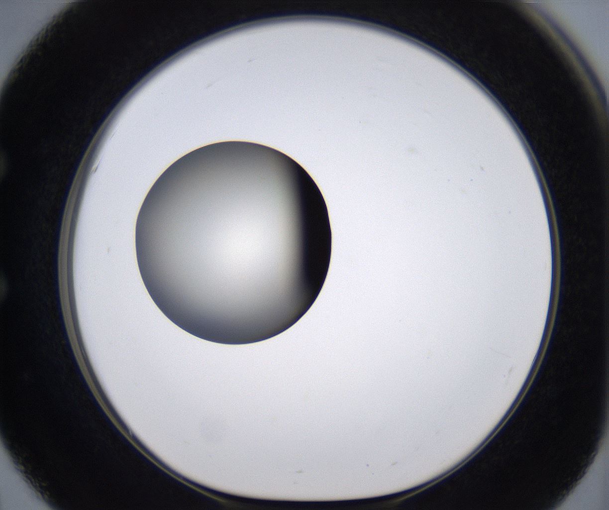 folderID204_plateID2204_batchID9975_wellNum51_profileID1_d1_r149609_ef.jpg