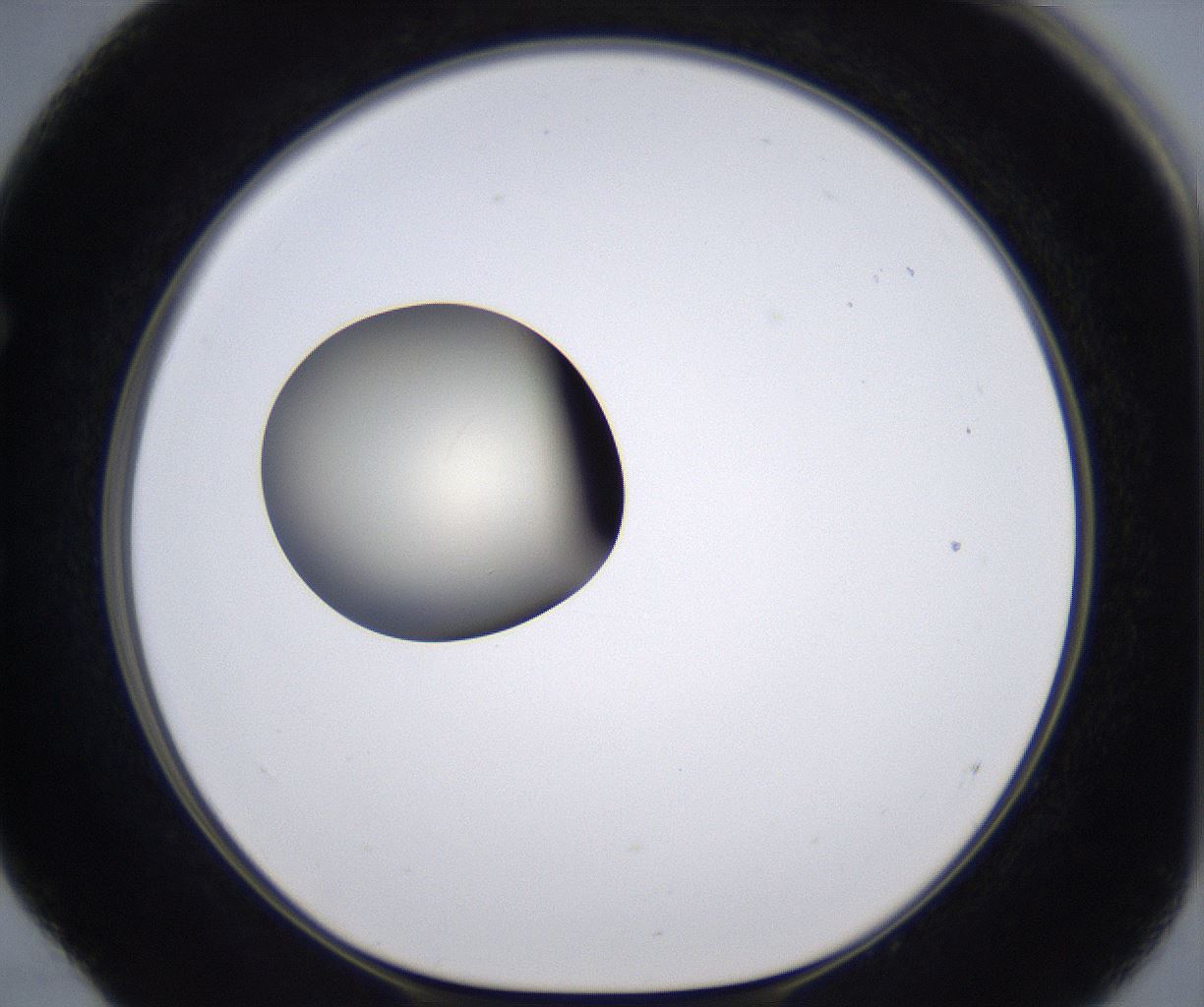 folderID204_plateID2204_batchID9975_wellNum52_profileID1_d1_r149610_ef.jpg
