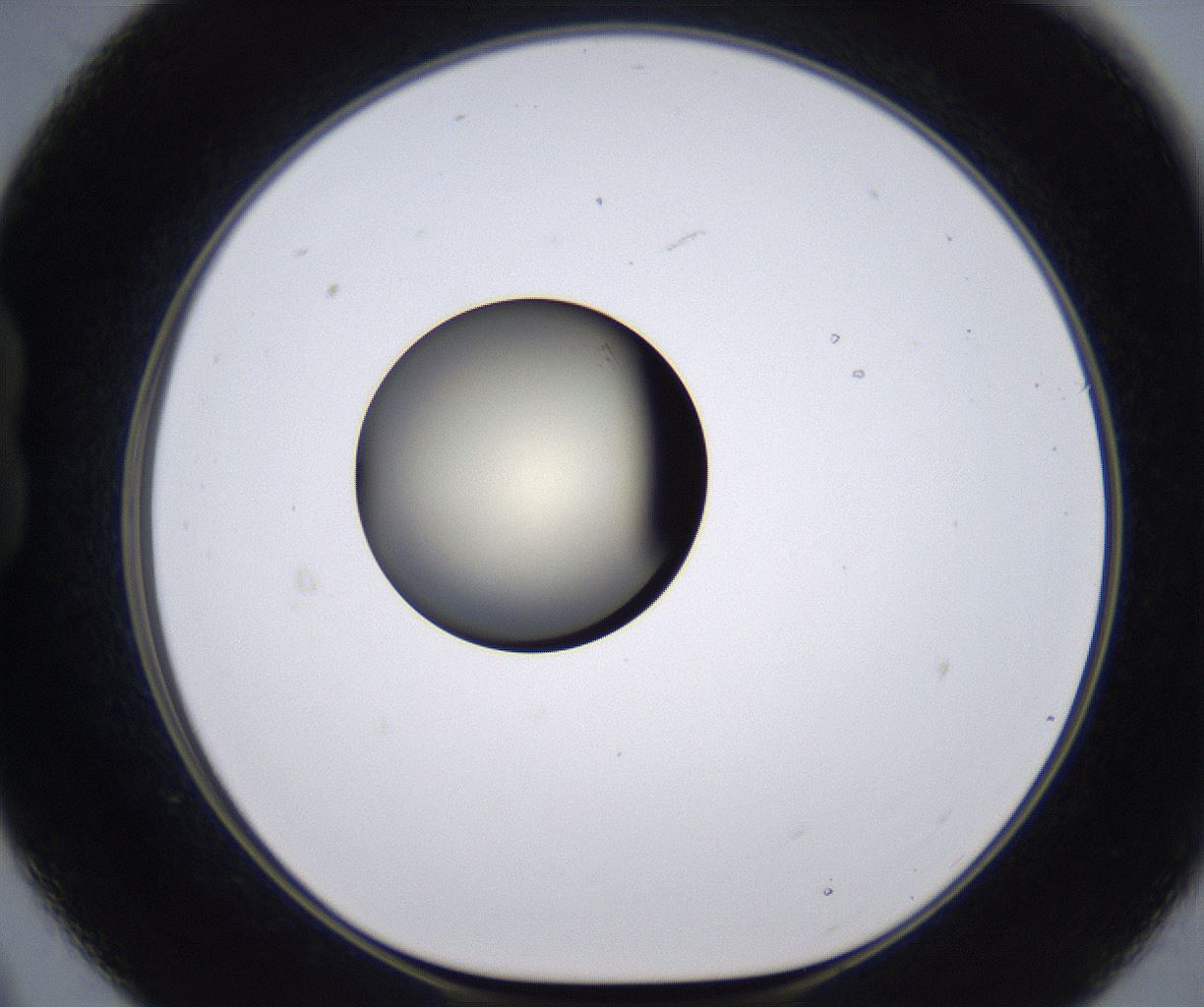 folderID204_plateID2204_batchID9975_wellNum21_profileID1_d1_r149579_ef.jpg