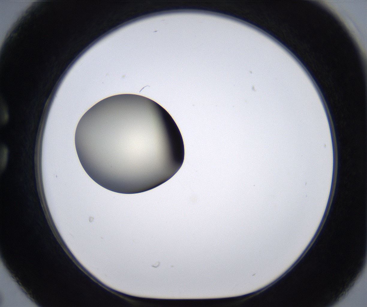 folderID204_plateID2204_batchID9975_wellNum30_profileID1_d1_r149588_ef.jpg