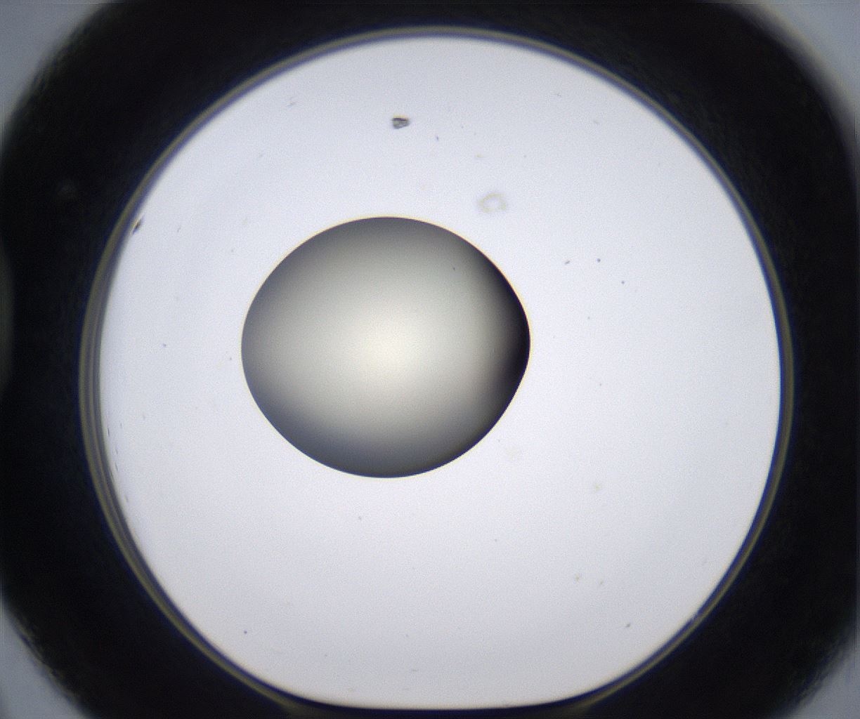 folderID204_plateID2204_batchID9975_wellNum44_profileID1_d1_r149602_ef.jpg