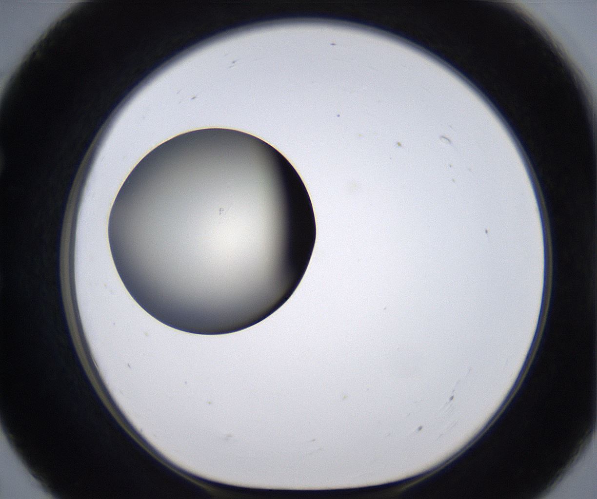 folderID204_plateID2204_batchID9975_wellNum55_profileID1_d1_r149613_ef.jpg