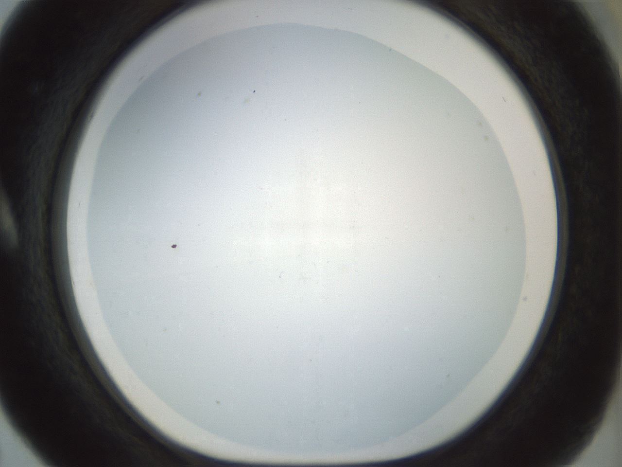 folderID208_plateID1208_batchID3624_wellNum5_profileID1_d1_r68584_ef.jpg